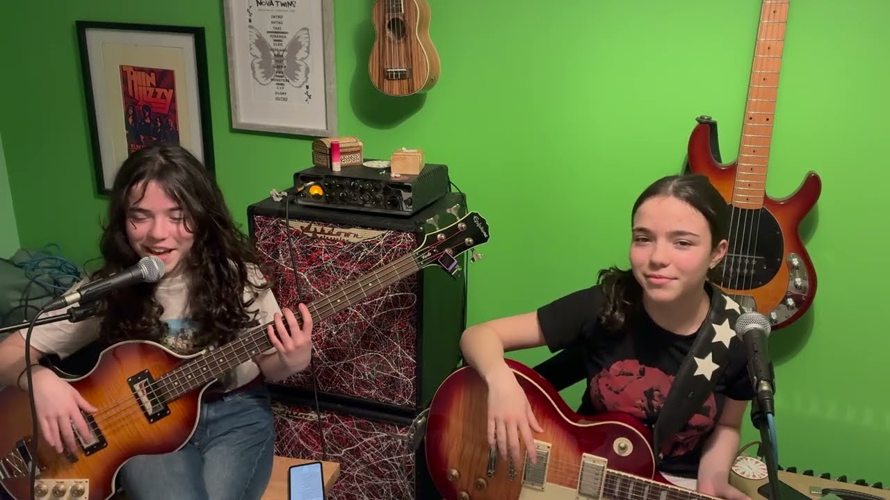 Hedonism (Just Because You Feel Good) – Live One-Take Cover by TwiceTheHarmony