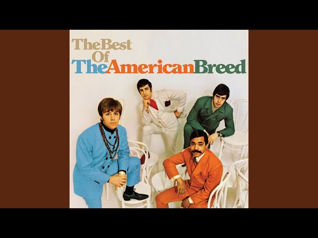 American Breed  - Step Out of Your Mind