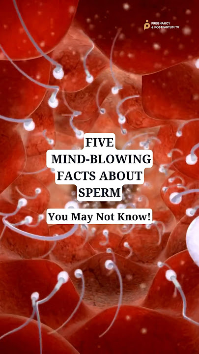 5 Mind-Blowing🤯 Facts About SPERM! (Most Don't Know THIS!)
