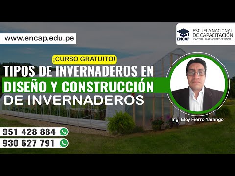 Video: El desarrollo innovador es Concepto, definición, tipos y eficiencia