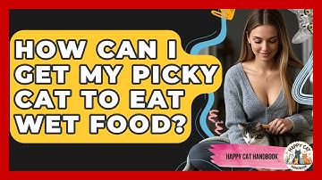 How Can I Get My Picky Cat To Eat Wet Food? - Happy Cat Handbook