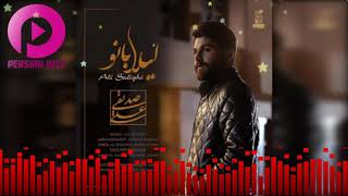 Ali Sedighi - Leila Banoo | Persian Music 2020| آهنگ جدید و بسیار زیبای لیلا بانو