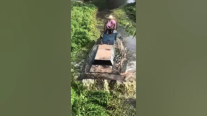 River water grass cutting and cleaning boat