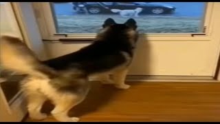 Most Unbelievable Things Caught On Camera.#4