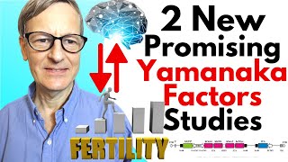 2 New Yamanaka Factor Studies On Cognitive Function & Fertility