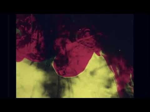 IVAN THE TOLERABLE QUINTET 'Floating Palm' (2024)