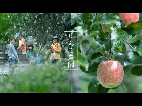 RINGO NŌEN | Discover Aomori apple 🍎 Japan's most famous fruit