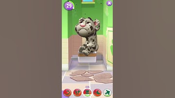 My talking Tom - all level gameplay #gameplay #android #game