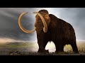 क्या हो अगर मैमथ विलुप्त ही ना हुए होते | What If Mammoths Never Went Extinct?