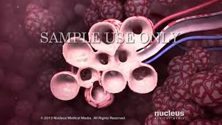 SPS 584 - Lab Test Presentation (Lung Function Test)