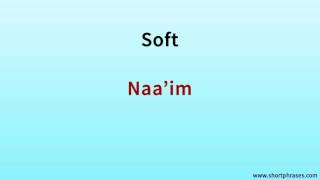 Learn Egyptian Arabic 500 Phrases say ''Soft'' screenshot 1