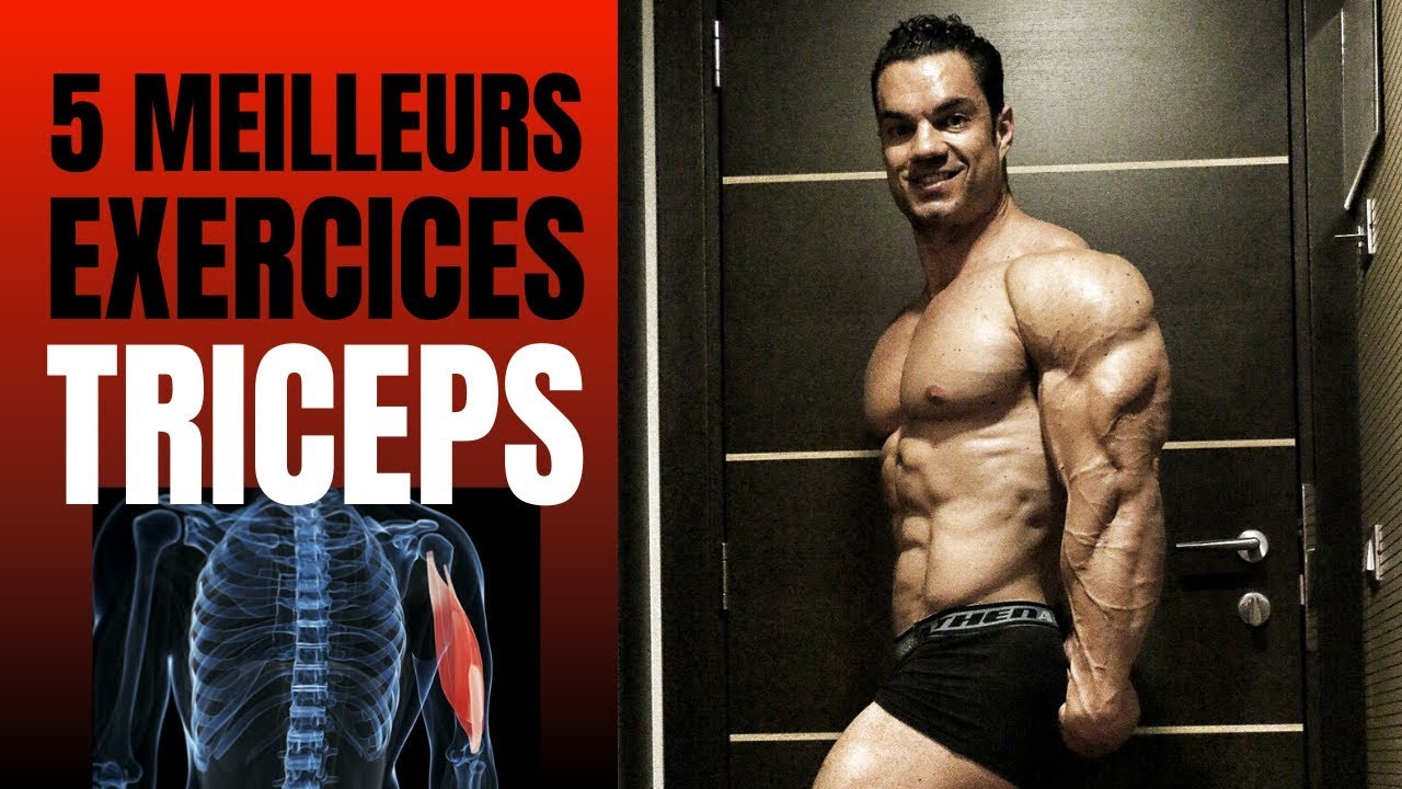 5 MEILLEURS EXERCICES TRICEPS (A NE SURTOUT PAS MANQUER!!)