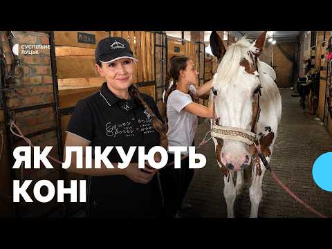 "Horses feel everything": how families of Ukrainian defenders are healing in a village near Lutsk