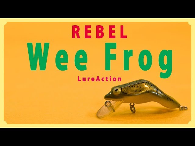 ルアー・フライ Rock1111 Rebel F71 Wee Frog Lure Action / レーベル ウィーフロッグのルアー
