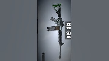 assaultrifle SIG-516#shorts