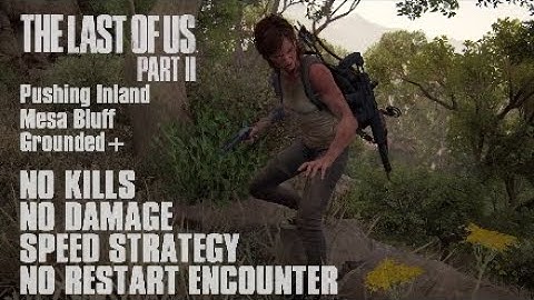 TLOU2 | Pushing Inland Mesa Bluff | Ellie | Grounded+ | NO KILLS | NO DAMAGE | SPEED STRATEGY