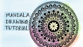 Mandala Drawing In 5 Minutes In Autodesk Sketchbook Tutorial Youtube