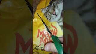 Cutting Meow Mix Cat Food Bag shorts youtubeshorts meowmix catfood