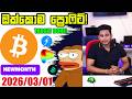 ඔක්කොම Done ??| Market Update By ROG CRYPTO | Crypto Update Sinhala 2025/03/01