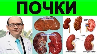 Животный Белок Убивает Почки - Доктор Майкл Грегер Животный Белок Убивает Почки - Доктор Майкл Грегер