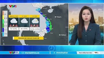 Dự báo thời tiết 5h30 - 09/12/2025 | Trung Bộ hôm nay mưa to | VTVWDB