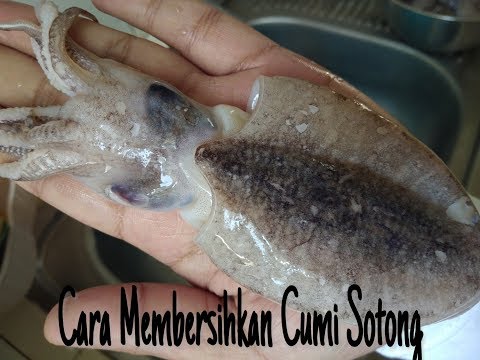 Video: Bagaimana dan berapa banyak memasak sotong yang sudah dikupas