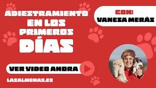 ¡Trucos de adiestramiento! | Centro Canino Las Almenas