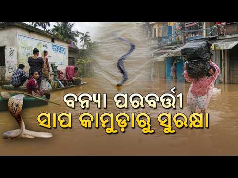 Parikrama || ପରିକ୍ରମା || Protection from snake bites after floods || 8th August 2026 @5pm