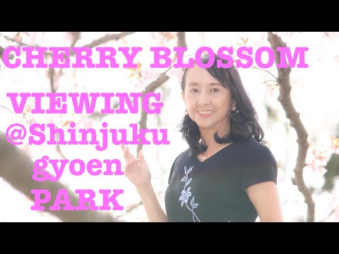 Cherry blossom viewing @Shinjuku Gyoen Park