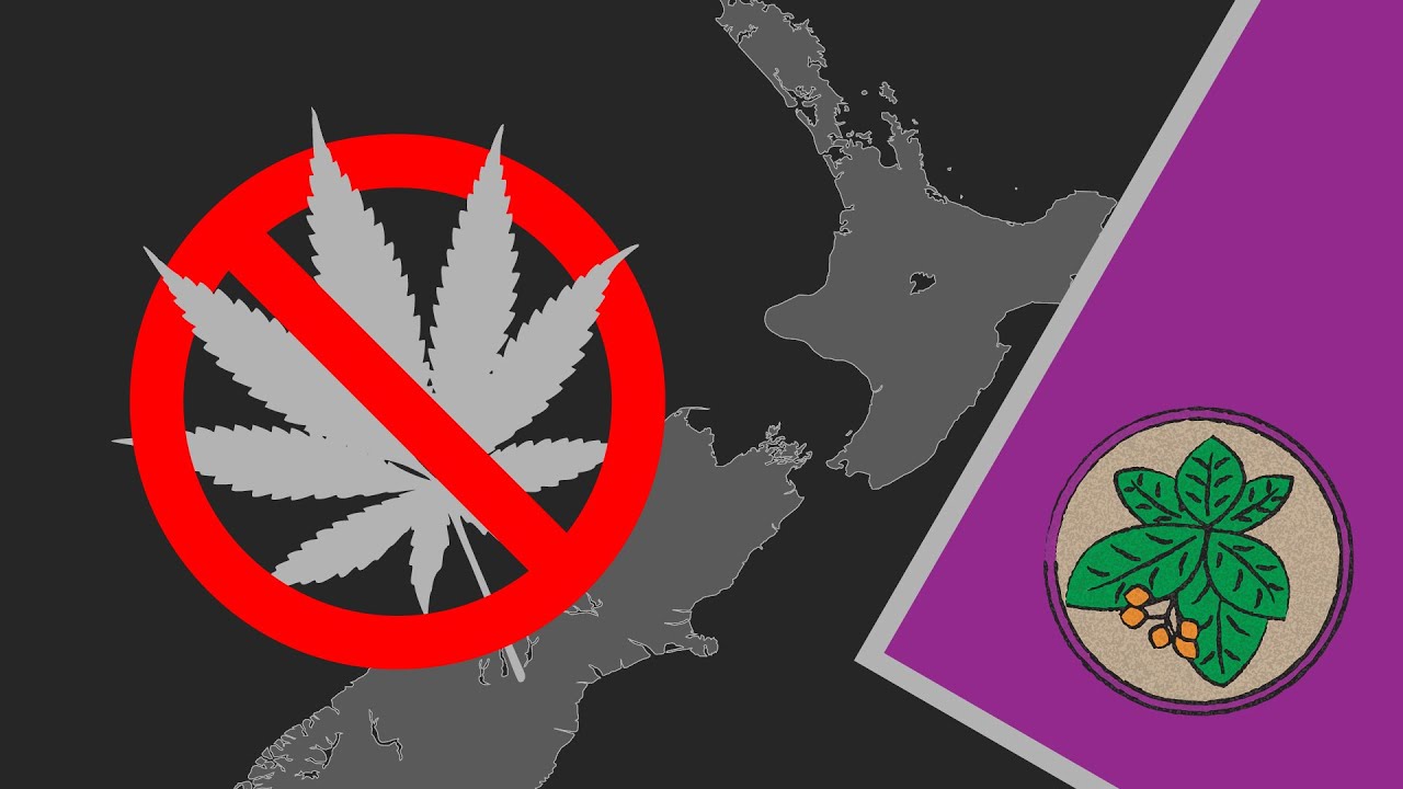 Why the New Zealand Cannabis Referendum Failed.