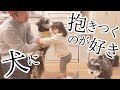 【可愛い】犬にぎゅーする1歳娘【シュナウザーと子ども】