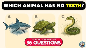 🪶🧠 How Good Is Your General Knowledge? – 36 Fun Trivia Questions! 🧠🪶