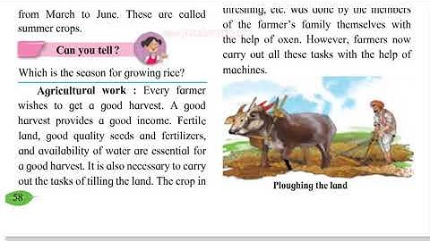 Food for All Std 5 Science Ch 12 Part 1 (explanation in English) Class 5 Lesson 12 (J K Academy)