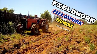 Doing fieldwork with the Massey Ferguson 275 |Vlog19