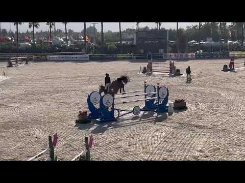 Doriano de Blondel 140 GP CSI1* Oliva