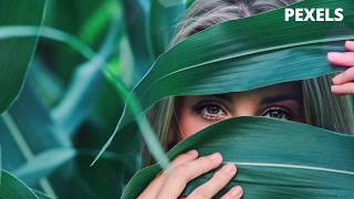 30 Best Stock Photos - PEXELS #50