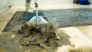 Hidden Under Years of Mud – The Most Shocking Rug Transformation Ever | Carpet Cleaning ASMR
