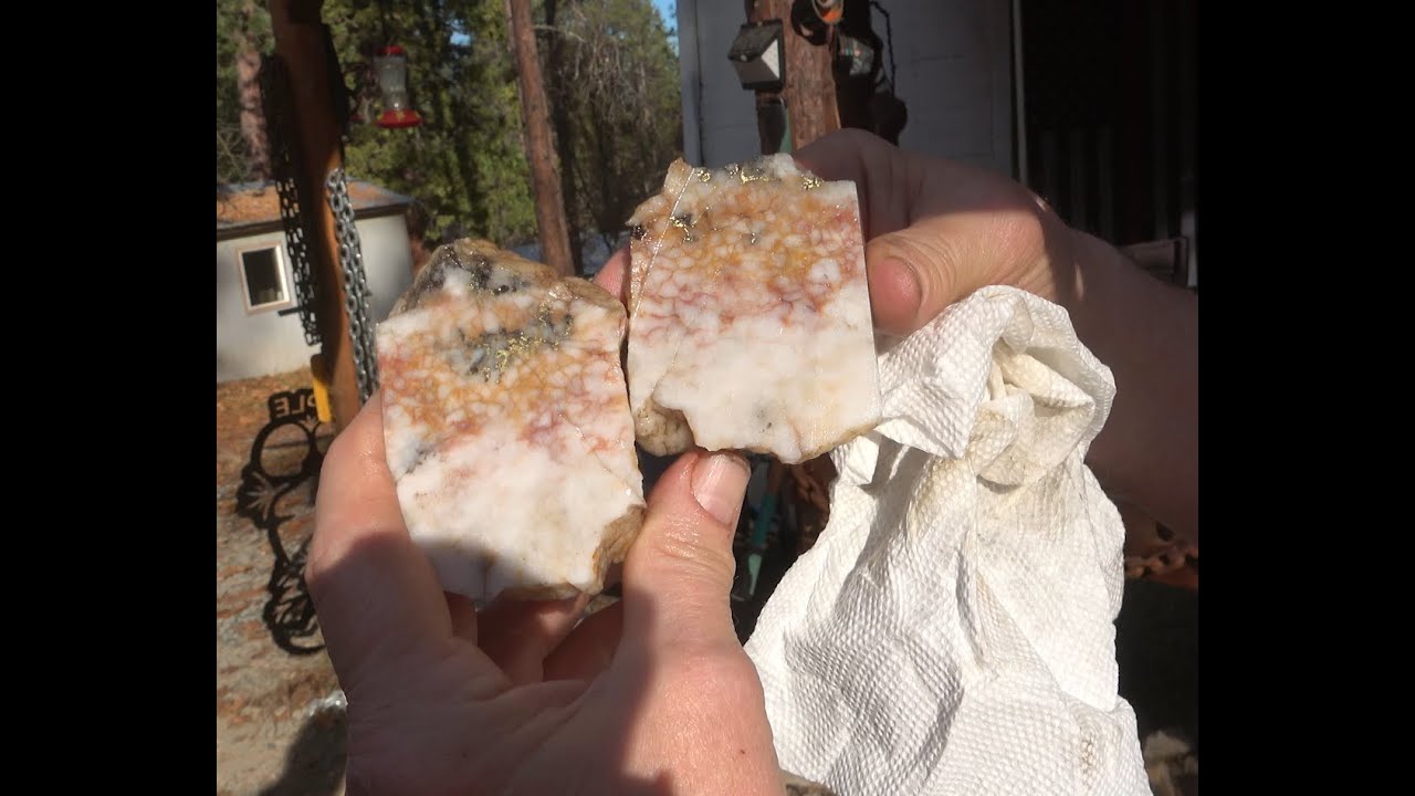 Screamer Mine detecting for gold