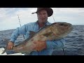 #SHORTS How to catch big Snapper & Grouper in shallow water