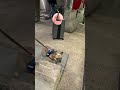 Esse Homem Reencontrou seu Cachorro Fofo 😍❤️