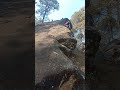 Rock climbing 🧗‍♂️