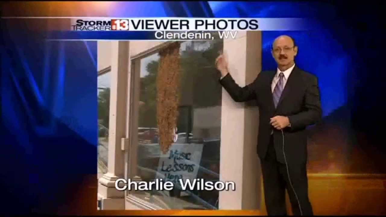 WOWK TV Channel 13 News Weather Forecast At 5 00pm May 20 2014 YouTube