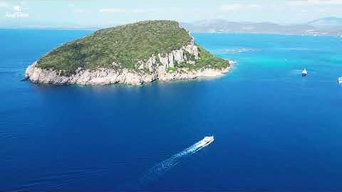 Relaxing Ocean Summer Vibes 2025 🌊 Chill Vocal Tropical Deep House Mix | 4K UHD Music for TV