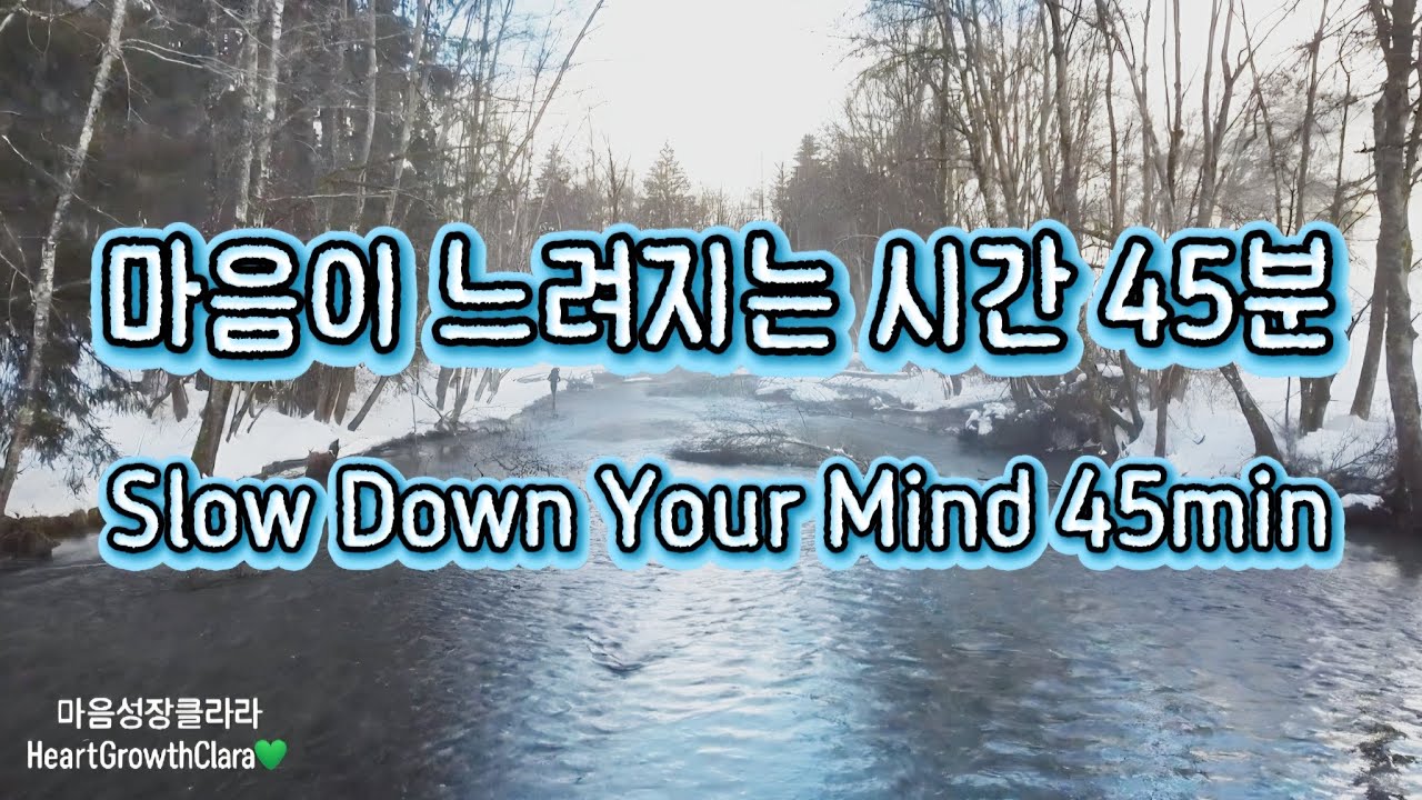 조용히 흐르는 겨울 오후의 위로 45분💚 | Comforting Sounds for a Calm Winter Afternoon 45min💚