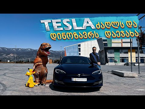 Tesla-ს ავტოპილოტის ტესტი, როგორ მუშაობს საქართველოში, დაეჯახება ადამიანს?