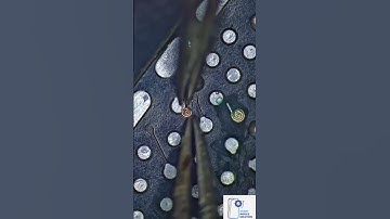 How to do  jumper wire? #mobilerepair #smartmobilesolution #jumperwire