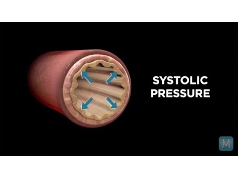 Systole vs. Diastole | Match Health