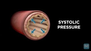 Systole vs. Diastole | Match Health