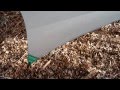 DIY Gear: Hammock Tarp DIY Gear: Hammock Tarp