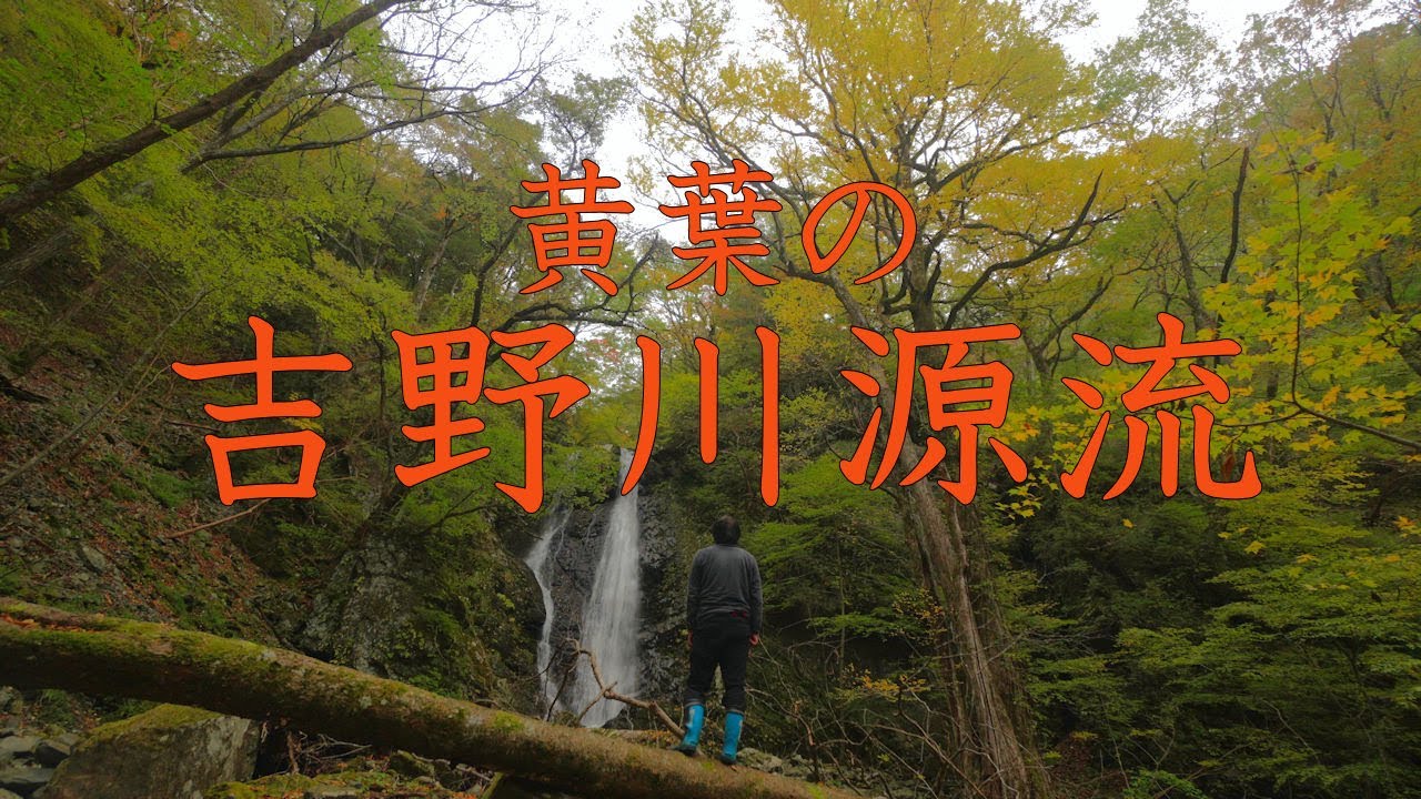 【登山】黄葉の吉野川源流アゲイン　2025年11月3日（高知県）【登山　高知】【登山　四国】